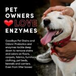 Clean Revolution SuperCharged All Purpose Cleaner Refill with Smart Probiotic + Enzyme Complex, Multi-Surface Kitchen Bathroom & Floor Cleaner, Dreamy Citrus, 128 Fl Oz - Image 4