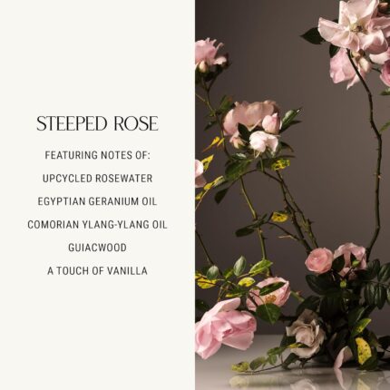Homecourt by Courteney Cox Surface Cleaner, Steeped Rose, 16 fl oz | All-Purpose Spray, Lifts Away Dirt, Smudges & Grease, For Bathroom, Kitchen & more, Clean Formula
