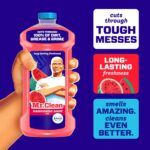 Mr. Clean All Purpose Cleaner, Mop Soap, Floor Cleaner for Mopping Home, Bathroom, & Kitchen, Cleaning Liquid for Mop & Bucket, Cleaning Supplies, Multi-Surface Dilutable, Watermelon, 41oz - Image 2